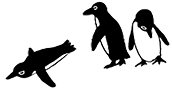 ペンギン